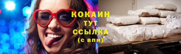 гидра Аркадак