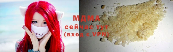 гидра Аркадак