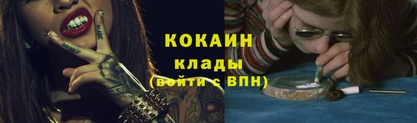 Альфа ПВП Богородск