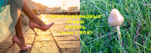 соль курить ск Новозыбков