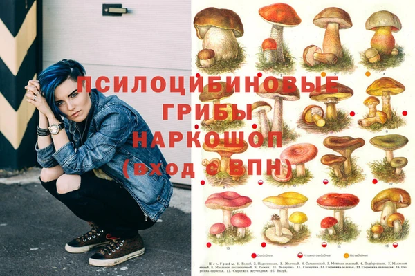 марки nbome Богородицк