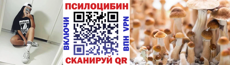 Псилоцибиновые грибы GOLDEN TEACHER Новомосковск