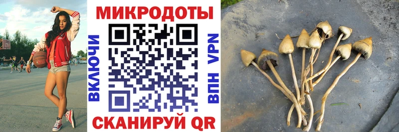 хочу наркоту  Новомосковск  Галлюциногенные грибы мухоморы 