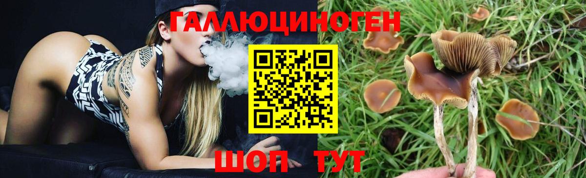 Новомосковск  Псилоцибиновые грибы Magic Shrooms  Вход с VPN 