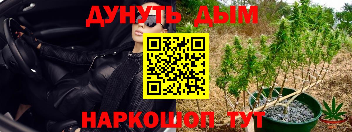 Марихуана тримм  Конопля сатива  Вход с VPN  Марихуана индика  Шишки марихуана White Widow  Новомосковск 