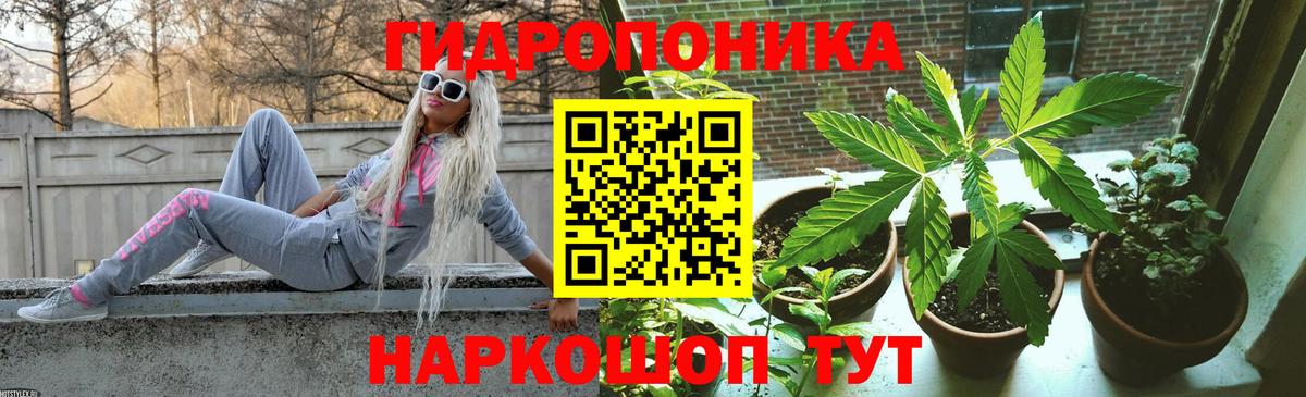 Бошки Шишки MAZAR Новомосковск